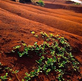 EA SPORTS™ 公布首届《EA SPORTS FC》年度最佳阵容